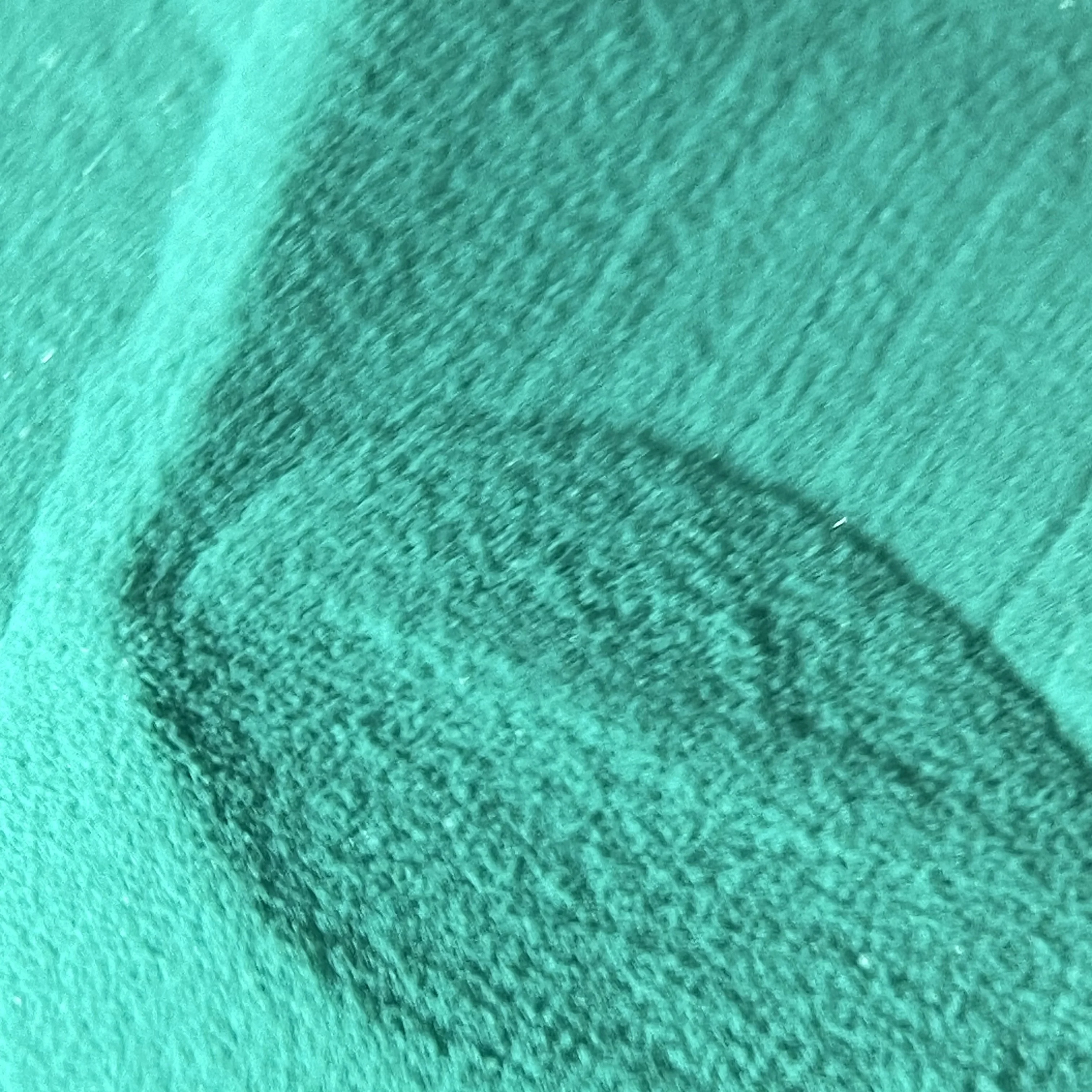 Emerald Echo - Image 2