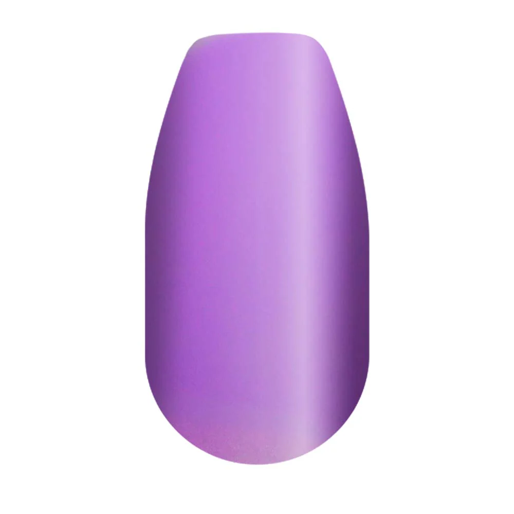 Purple Plush - Image 2