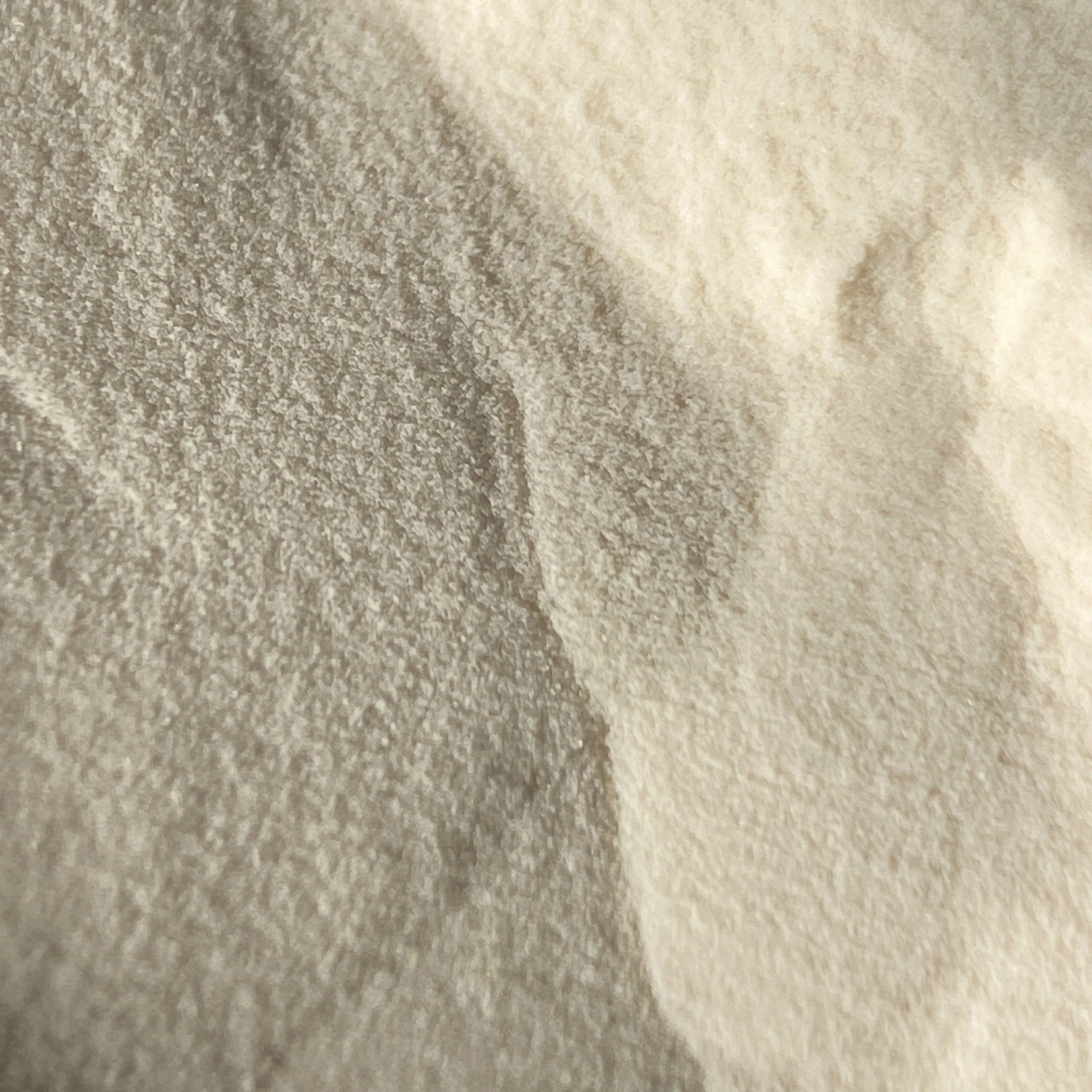 Toasted Almond - Image 2