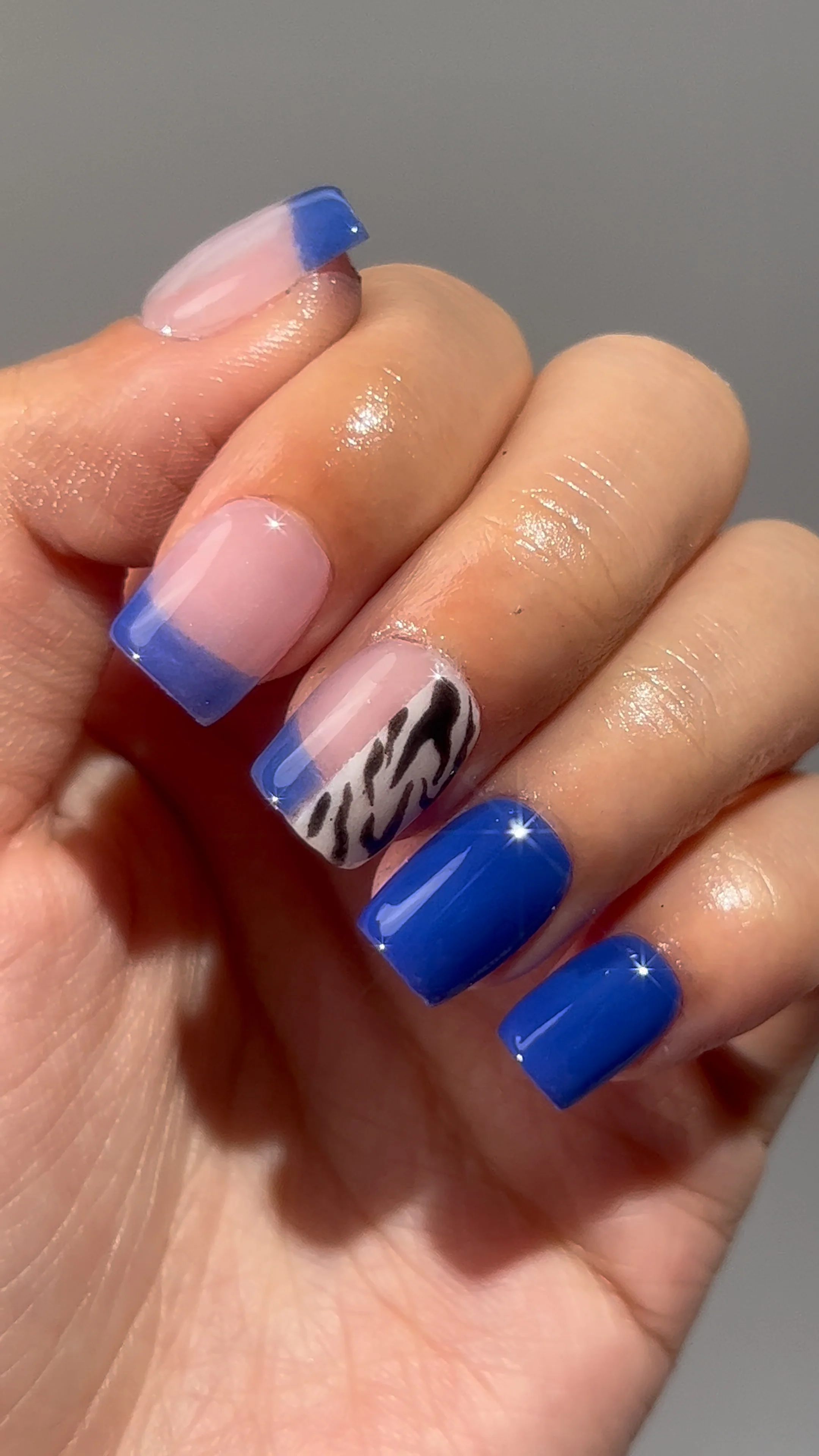 Zebra Blue Block French